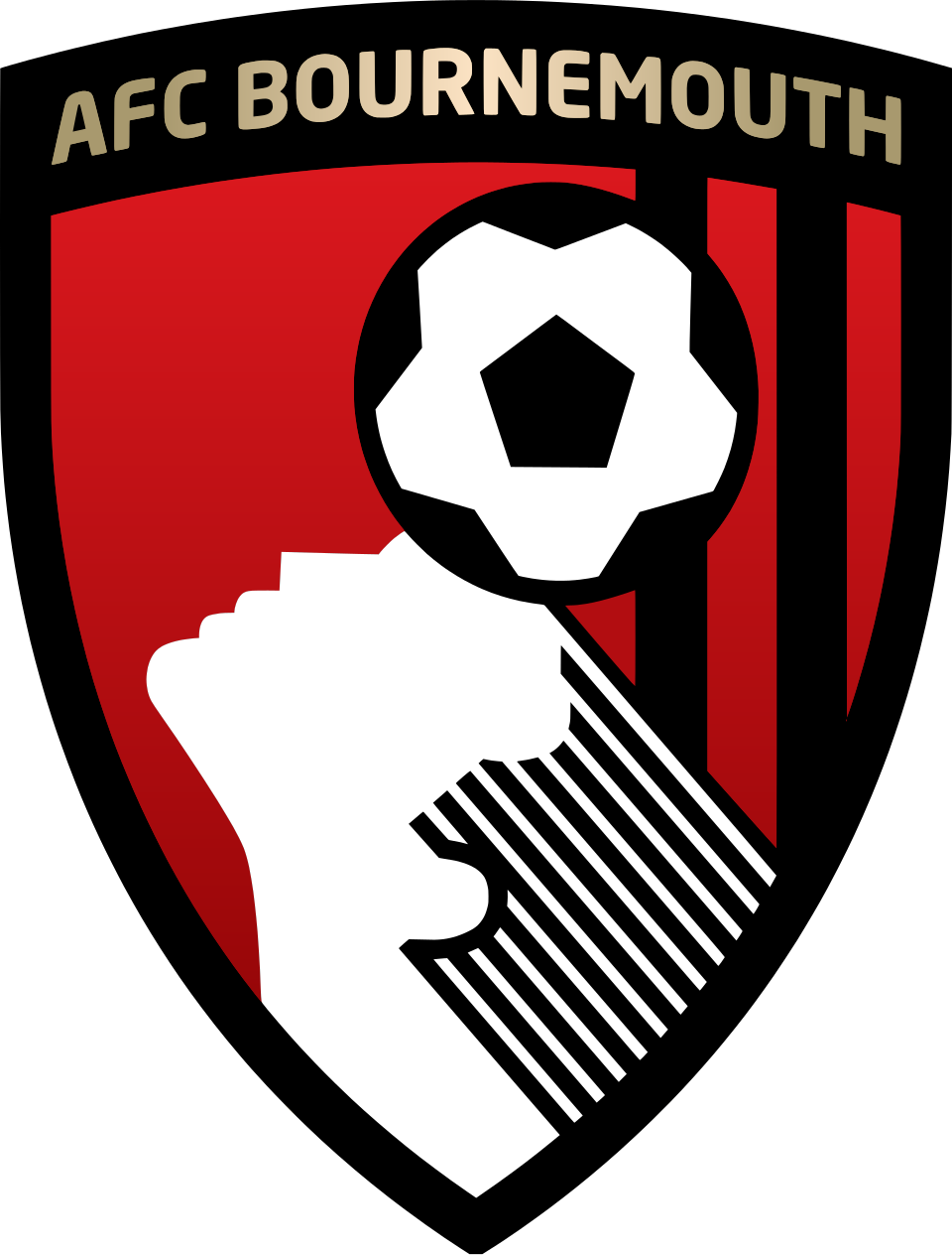 AFC Bournemouth News