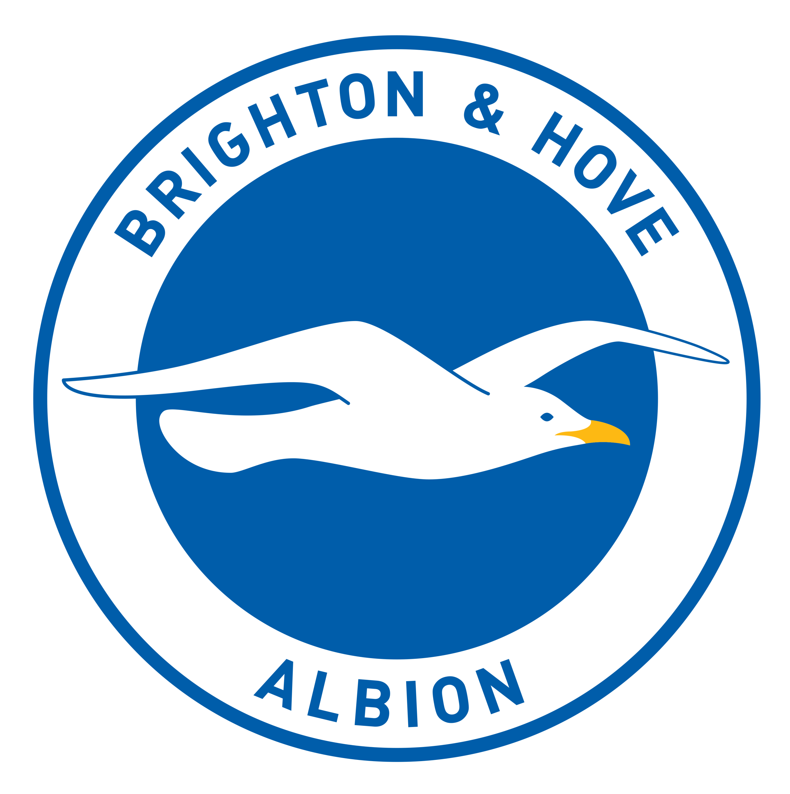 Brighton & Hove Albion News