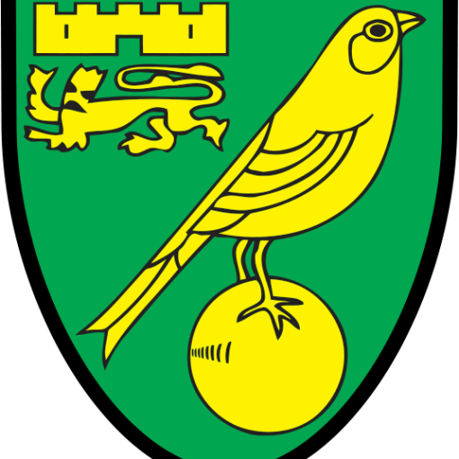 Norwich City News
